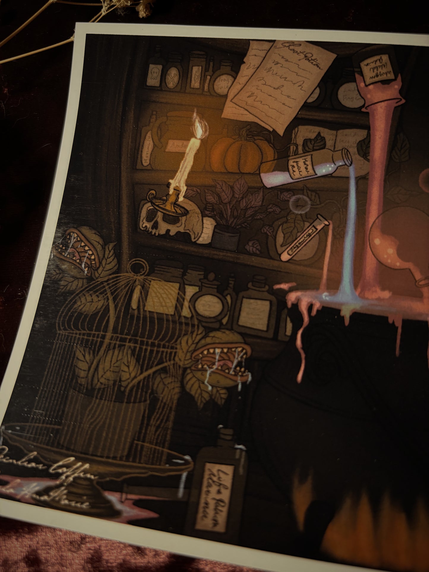 Grimm Ghost and the witches brew