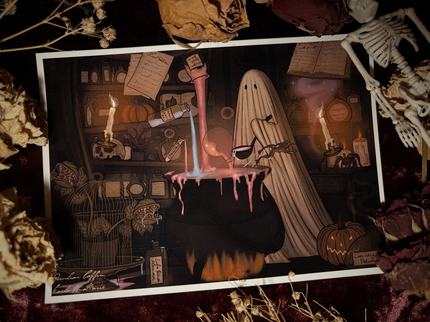 Grimm Ghost and the witches brew